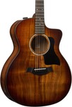 Taylor 224e